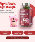 Maxmedix Kids Probiotics Gummies Prebiotic Probiotics For Kids - 1 Billion Cfu & Inulin (45-Day Supply) 90 Children Synbiotic Gummies Natural Apple Flavor Vegan Non-Gmo