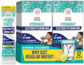 Gurunanda Hydramate Hydration Support Drink Mix Electrolyte Powder Packets For Dehydration Exercise & Energy No Added Sweeteners Nongmo Natural Lemon Lime Flavor 12 Count (0.56 Oz Each)
