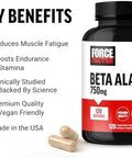 Force Factor Beta Alanine Capsules Betaalanine Endurance Supplement To Boost Performance & Reduce Fatigue Clinical Dose Premium Quality Vegan Nongmo 120 Capsules