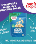 Sun Tropics Mochi Snack Bites Sea Salt Dairy Free Gluten Free 3.5 Oz (Pack of 12)