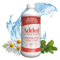 Buried Treasure Added Attention Children's Learning Support with GABA DHA Vitamin B and Herbal Blend Aid Healthy Brain Functions Improved ShortTerm Auditory Memory Focus and Behavior 16.54 oz