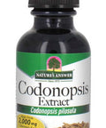 Nature'S Answer Codonopsis Root Organic Alcohol 1 Fluid Ounce | Immune Support | Natural Energy Booster