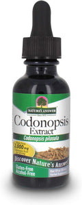Nature'S Answer Codonopsis Root Organic Alcohol 1 Fluid Ounce | Immune Support | Natural Energy Booster