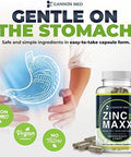 Zinc Supplements - Immunity + Skin + Reproductive Health Minerals - Zinc Chelate Immune Booster For Kids & Adults (2 Pack, Zinc Maxx)