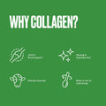 Bulletproof Unflavored Collagen Protein Powder, 18G Protein, 17.6 Oz, Grass Fed Collagen Peptides And Amino Acids Gut Health Collagen Protein, Unflavored, 14 Oz, 2 Billion Cfu Probiotic