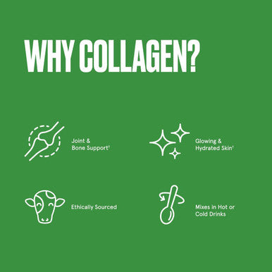 Bulletproof Unflavored Collagen Protein Powder, 18G Protein, 17.6 Oz, Grass Fed Collagen Peptides And Amino Acids Gut Health Collagen Protein, Unflavored, 14 Oz, 2 Billion Cfu Probiotic