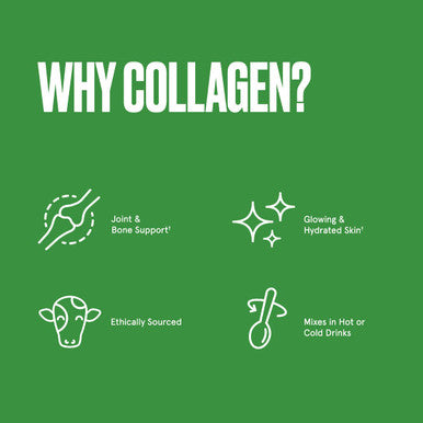 Bulletproof Unflavored and Chocolate and Vanilla Collagen Peptides