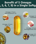 Pure Nutrition Vegan Omega 3-5-6-7-9 120 Softgels 600Mg Per Serving Of 2 Softgels Multi Omega Supplement For Overall Health Non Gmo Gluten Free