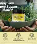 Herbamama Mullein Leaf And Iodine Kit - Bundle Of 2000Mg Mullein Leaf Extract Gummies & Potassium Iodine With Zinc & Sele Gummies - Vegan Non-Gmo Pectin-Based - 2 Pack