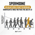 Shrink Spermidine Supplements High Strength For Men & Women 120 Vegan Caps 100% Natural Polyamine For Anti-Aging Support, Overall Wellness Non-Gmo, Usa Made With High Spermidine, Zinc & Thiamin