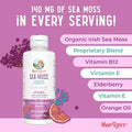 Maryruth Organics Sea Moss Liposomal (Citrus Berry) and Collagen Booster (Maple Hot Cocoa) Clean Label Project Verifieda' Vitamins For Energy Immunity And Overall Wellness Vegan NonGmo
