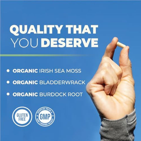 Irish Sea Moss Capsules with Organic Irish Moss 300mg Burdock Root and 500mg Bladderwrack Powder 45Day Supply 1300mg Complex Provides Iodine for Thyroid and Immune Support 90 Veggie Pills