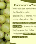 Mi Nature Amla Powder by mi natureAmalaki or Indian Gooseberry |Vitamin C |454g (16 oz) NonGMO |Pure and natural Raw Vegan Glutenfree Made in India Preservatives free