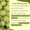 Mi Nature Amla Powder by mi natureAmalaki or Indian Gooseberry |Vitamin C |454g (16 oz) NonGMO |Pure and natural Raw Vegan Glutenfree Made in India Preservatives free