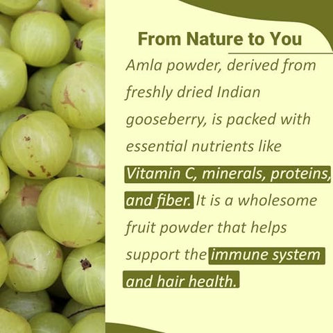 Mi Nature Amla Powder by mi natureAmalaki or Indian Gooseberry |Vitamin C |454g (16 oz) NonGMO |Pure and natural Raw Vegan Glutenfree Made in India Preservatives free