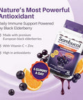 Sambucol Elderberry Gummies - Immune Support Supplement For Adults & Kids With Vitamin C & Zinc Sambucol Elderberry Are High In Antioxidants Gluten Free Vegan 90 Count