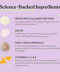 Lemme Glow Collagen Gummies For Thick Hair Strong Nails & Healthy Skin With Multi-Collagen Peptides Biotin Trace Minerals Zinc Vitamins A C & E Dairy & Gluten Free Peach Flavor 60 Ct