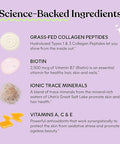 Lemme Glow Collagen Gummies For Thick Hair Strong Nails & Healthy Skin With Multi-Collagen Peptides Biotin Trace Minerals Zinc Vitamins A C & E Dairy & Gluten Free Peach Flavor 60 Ct