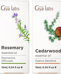 Gya Labs Rosemary Oil For Hair & Cedarwood Oil For Hair Set - Aromatherapygrade Essential Oils Set - 2X0.34 Fl Oz - Gya Labs