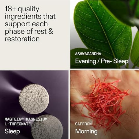 Ag1 Agz Sleep Drink " 30Count Calming Sleep Aid Powder + Frother Melatonin Nighttime Blend With Magnesium Ashwagandha Saffron & Valerian " Herbal & Adaptogen Drink Mix (Chocolate Mint)