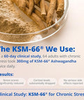 Lincnutri Ksm-66 Ashwagandha Supplements Extra Strength Ashwagandha Root Extract 10-In-1 Adaptogen Complex For Cortisol Stress Relief Boost Energy & Immune Support 60 Vegan Gluten-Free Capsules