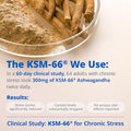 Lincnutri Ksm-66 Ashwagandha Supplements Extra Strength Ashwagandha Root Extract 10-In-1 Adaptogen Complex For Cortisol Stress Relief Boost Energy & Immune Support 60 Vegan Gluten-Free Capsules
