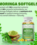 Hzzyplant Moringa Softgel Capsules Made With Pure Moringa Oleifera Leaf Green Superfood High Absorption Than Moringa Powder Capsules For Energy Immunity & Joint HealthVeganNon Gmo2 Month Supply