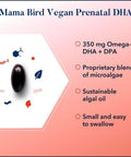 Best Nest Wellness Mama Bird Vegan Prenatal DHA Vitamin 350 mg Algae Omega 3 Supplements Supports Baby's Brain & Eyes Easy to Swallow Softgels 60 Ct