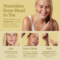 Golden Jojoba Oil 1 Gallon Non-Comedogenic With Vitamin E & Natural Fatty Acids For Hair & Skin. Bella Terra Oils