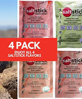 Saltstick Fastchews Electrolyte Replacement Tablets For Rehydration Exercise Recovery Youth & Adult Athletes Hiking Sports Recovery 10Ct Variety 4-Pack