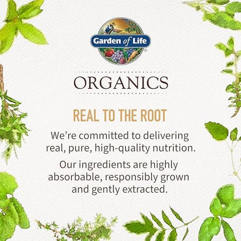 Garden Of Life Organics Plant Iron and Organic Herbs Organic PlantSourced Iron + Herbs (CranberryLime Liquid) 8Oz Liquid