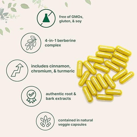Micro Ingredients Berberine With Ceylon Cinnamon 240 Veggie Capsules High Absorption Berberine Hci Supplement Turmeric Root & Cinnamon Bark Extract Non-Gmo Gluten Free