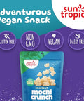 Sun Tropics Mochi Snack Bites Sea Salt Dairy Free Gluten Free 3.5 Oz (Pack of 12)