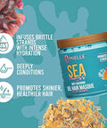 Mielle Organics Sea Moss Anti-Shedding Curl Gel Hair Masque