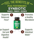 Peak Performance Synbiotic = Prebiotic + Probiotic + Postbiotic 3 In 1 Supplement With
