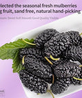 Hee Creek Top Grade Dried Mulberries Black Mulberry Tea 280g/10oz Wild Black Mulberry Dried Fruit No Sugar Added & No Additives Sand Free Nourishing Ã¦Â¡â€˜Ã¨â€˜Å¡ Ã¦Â¡â€˜Ã¨â€˜Å¡Ã¥Â¹Â²