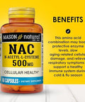 Mason Natura Nac Nacetyllcysteine 500 Mg 6 Month Supply Supports Normal Cellular Health Immune System Booster For General Wellness 3 Pack