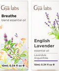 Gya Labs Breathe Essential Oil For Humidifier Cleaner & Lavender Essential Oil For Diffuser Set - Aromatherapy Grade Essential Oils Set - 2X10Ml - Gya Labs
