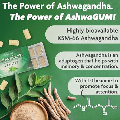 Ashwagum Focus Gum By Bettergum, High Potency Brain Supplement With Ksm 66 Ashwagandha And L Theanine, Supports Concentration And Memory, Alternative To Gummies, Sugar-Free, Pack Of 2