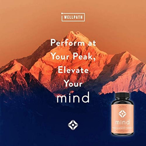 Wellpath Mind Brain Supplement For Memory And Focus With Lion'S Mane Ginkgo Biloba And L-Theanine For Long Term Cognitive Support Vegan Non-Gmo 60 Ct