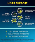 BioEmblem Triple Magnesium Complex and Turmeric Curcumin with Clinically Studied TurmiPure for Healthy Muscle and Nerve Function Vegan NonGMO
