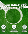Ehp Labs Oxygreens Super Greens Bundle Spirulina & Chlorella Superfood Green Juice Powder & Greens Supplements With Prebiotic Fibre Antioxidants & Immunity Support 60 Servings