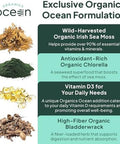 Wild Sea Moss Capsules - 100% Organic Irish Sea Moss With Organic Chlorella, Bladderwrack And Vitamin D For Energy, Lung Health And Thyroid Support For Women And Men - 60 Capsules
