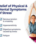 Boiron Stresscalm On The Go For Relief Of Stress Anxiousness Nervousness Irritability And Fatigue 80 Count (Pack Of 2)