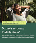 Gaia Herbs Stress Response Supplements Supports Relaxation With Rhodiola Holy Basil Ashwagandha & More 30 Vegan Liquid Phytocapsules (15 Servings)