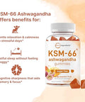 Micro Ingredients Ksm-66 Ashwagandha Gummies 120 Count Sugar Free Mango Passion Fruit Flavor Potent Root Extract Stress Relaxation & Sleep Support Non-Gmo