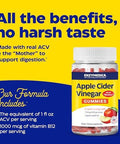 Enzymedica Apple Cider Vinegar Gummies Made With The Mother 12 Organic Usagrown Apples Per Bottle[C][D] 1000 Mcg Vitamin B12 Per Serving Natural Apple 74 Count