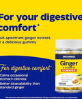 Enzymedica Ginger & Vitamin B6 Gummies Support For Occasional Nausea & Indigestion High Potency Equivalent To 200 Mg Ginger Extract 60 Count