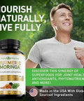Pius Nature Turmeric Moringa Organic Turmeric Curcumin Supplements And Organic Moringa Powder 120 Veggie Capsules Supplement For Women And Men