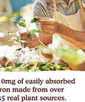 Garden Of Life Organics Plant Iron and Organic Herbs Organic PlantSourced Iron + Herbs (CranberryLime Liquid) 8Oz Liquid